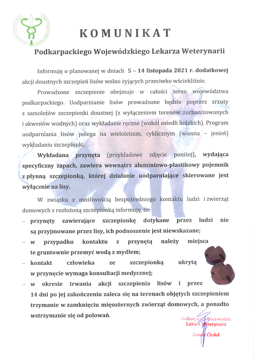 Komunikat Podkarpackiego Wojewódzkiego Lekarza Weterynarii – odnośnie szczepienia lisów