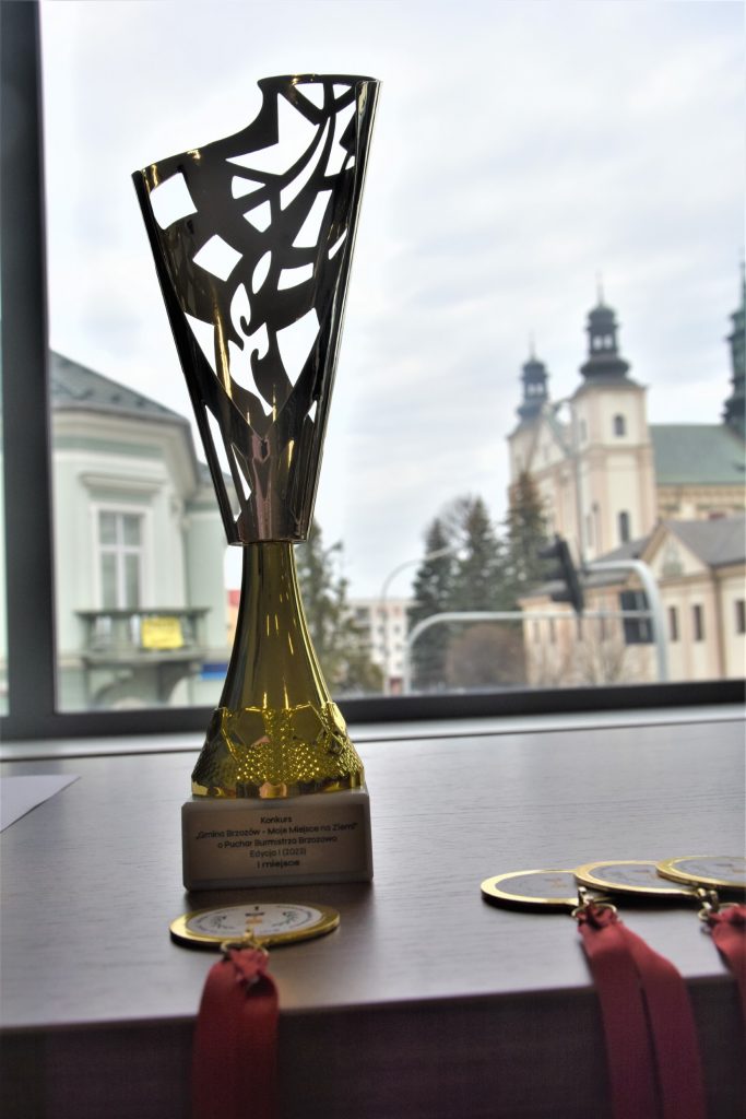 I Edycja Konkursu „Gmina Brzozów – Moje Miejsce na Ziemi” o Puchar Burmistrza Brzozowa