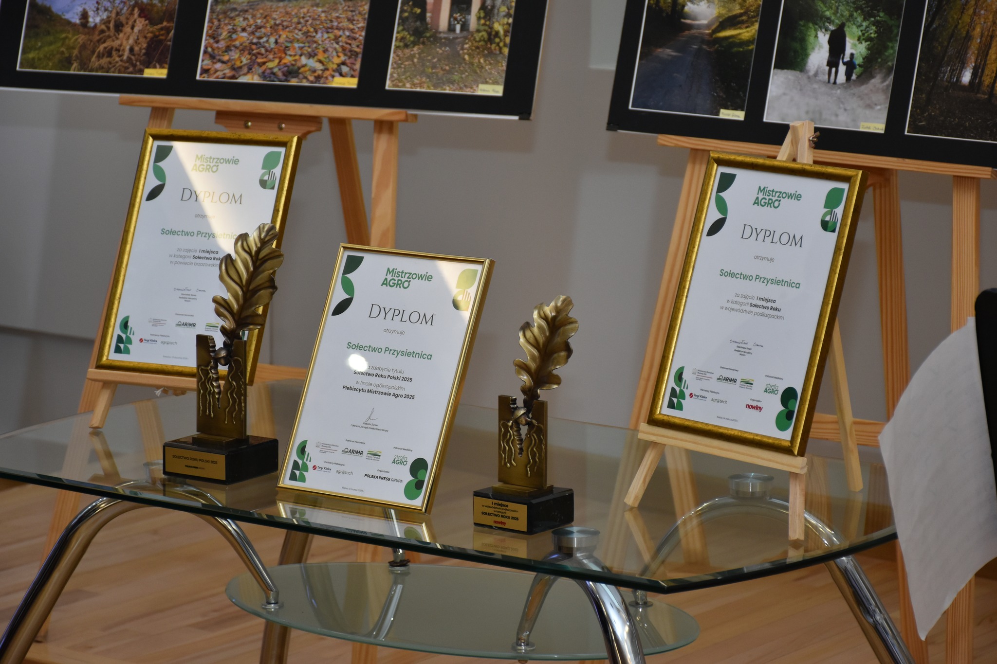 655953687 1431597875438020 7128832289294589427 N