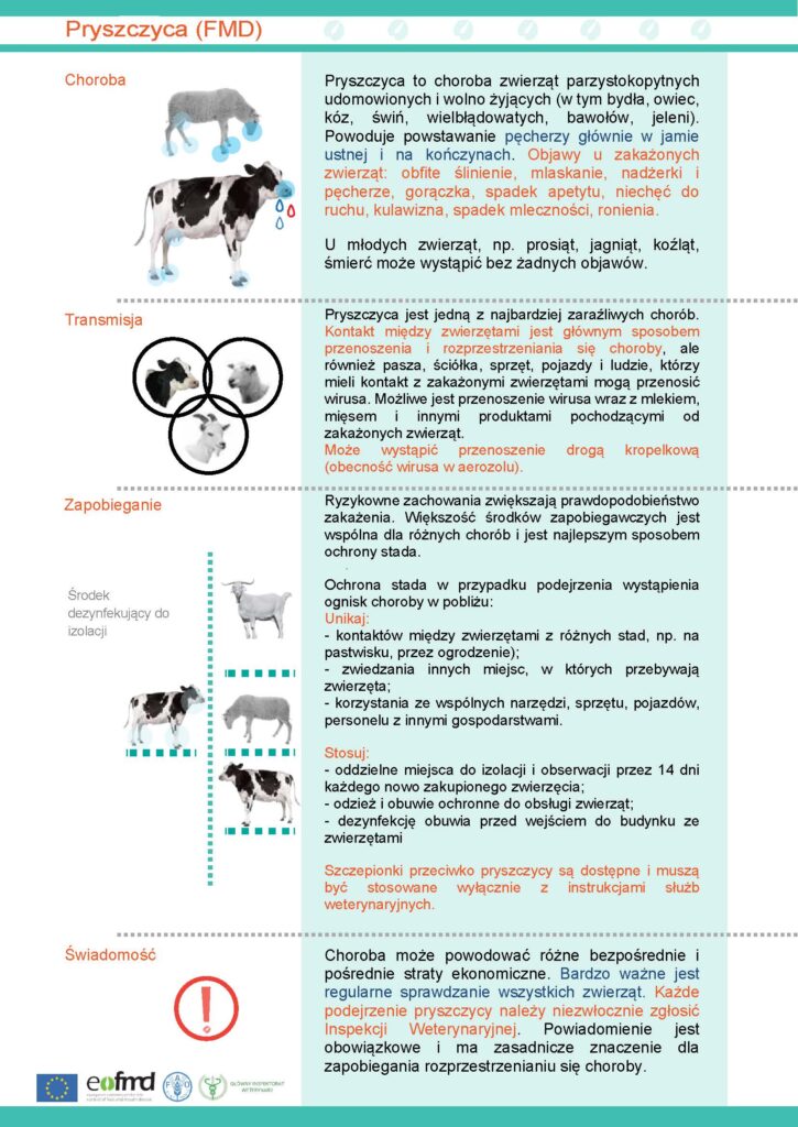 Komunikat Powiatowego Lekarza Weterynarii w Brzozowie z dnia 8 kwietnia 2025 r. w sprawie zagrożenia pryszczycą (FMD)