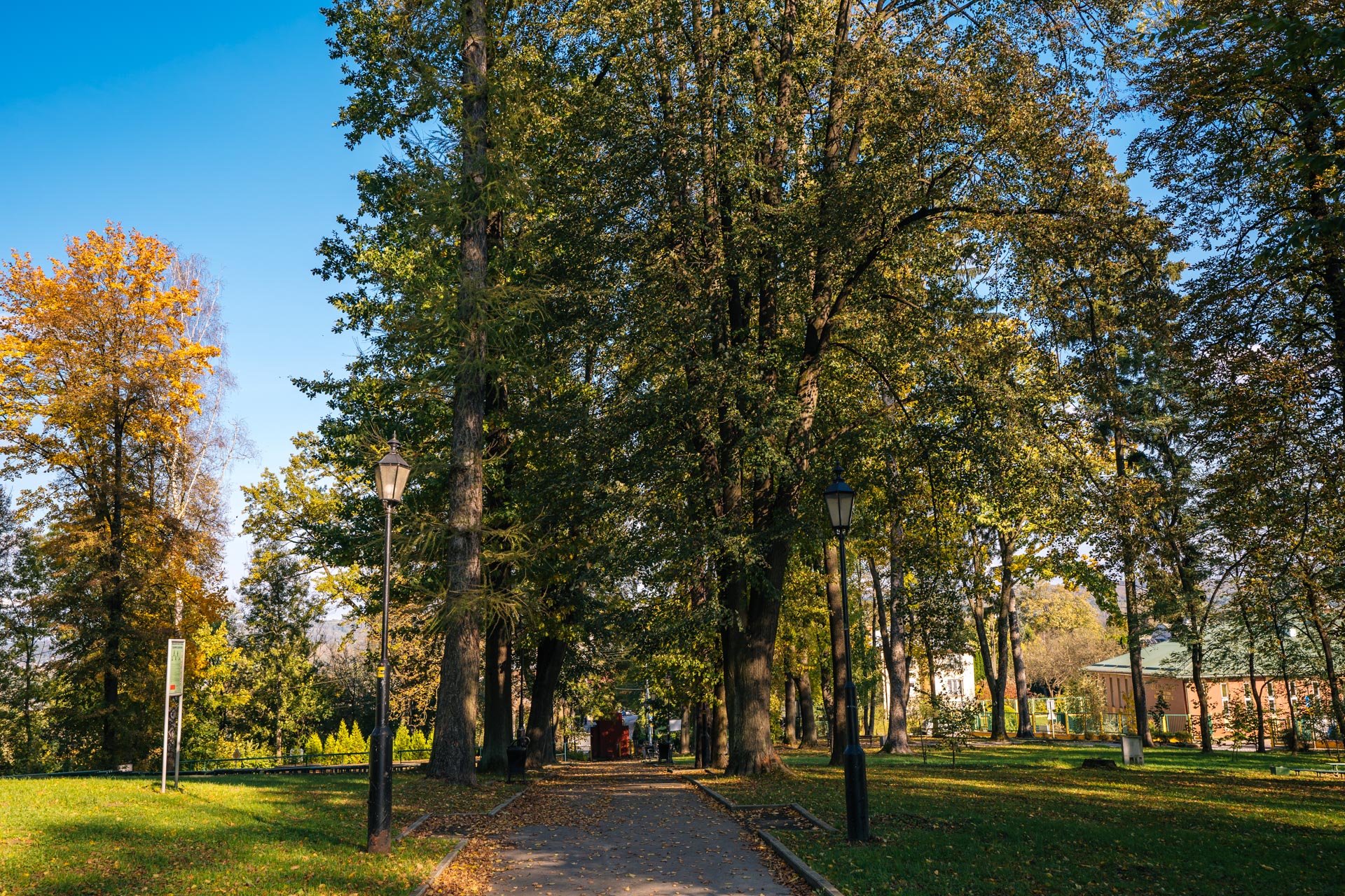 Ruszają prace w parku Jordanowskim