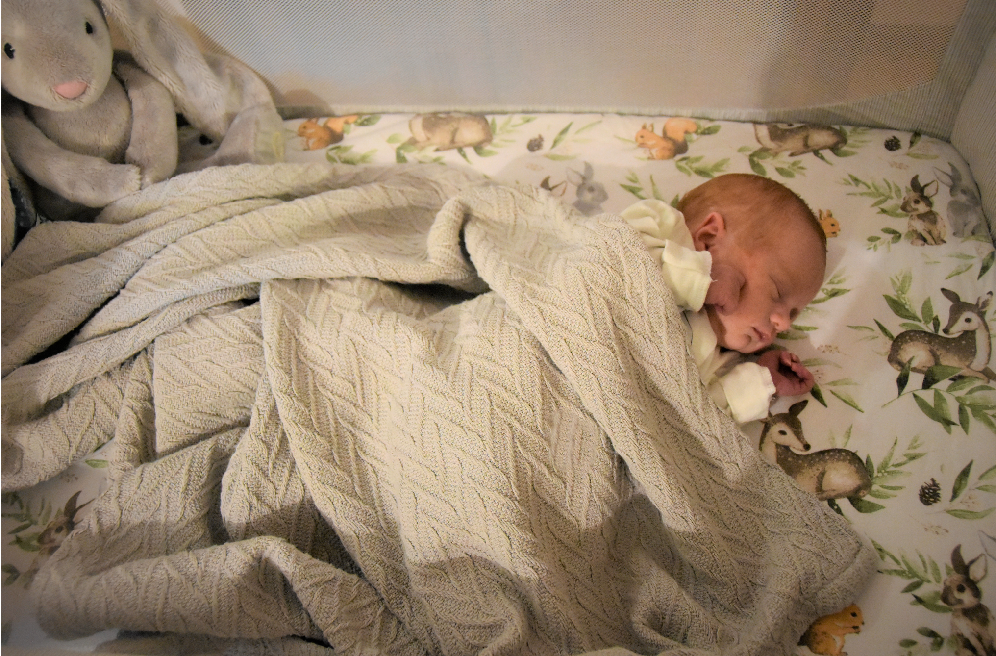 Maja pierwszą mieszkanką gminy Brzozów