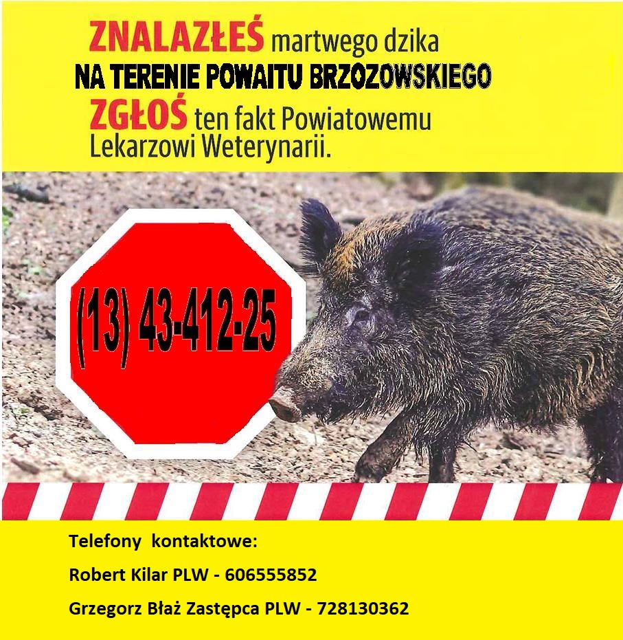 Komunikat Powiatowego Lekarza Weterynarii w Brzozowie w zakresie postępowania w przypadku znalezienia padłego dzika.