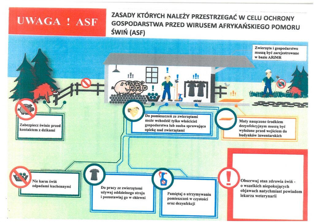 Informacja dot. Afrykańskiego Pomoru Świń
