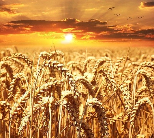 XIII edycja konkursu „Polska wieś – dziedzictwo i przyszłość