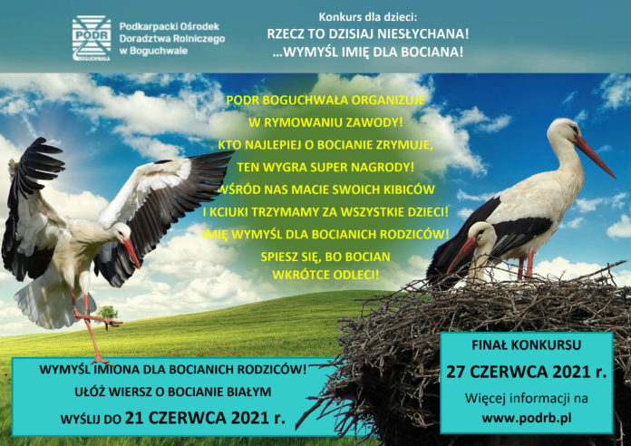 ,,Rzecz to dzisiaj niesłychana! …wymyśl imię dla bociana”